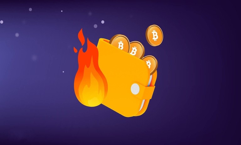 کیف پول گرم چیست