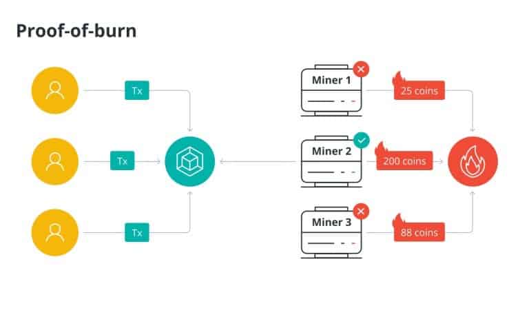الگوریتم اثبات سوزاندن