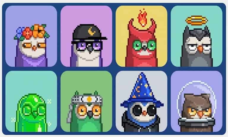 کالکشن کارت عضویت باشگاه خصوصی