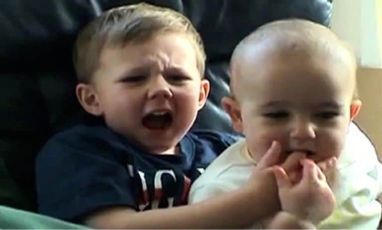 میم nft چارلی انگشت مرا گاز گرفت