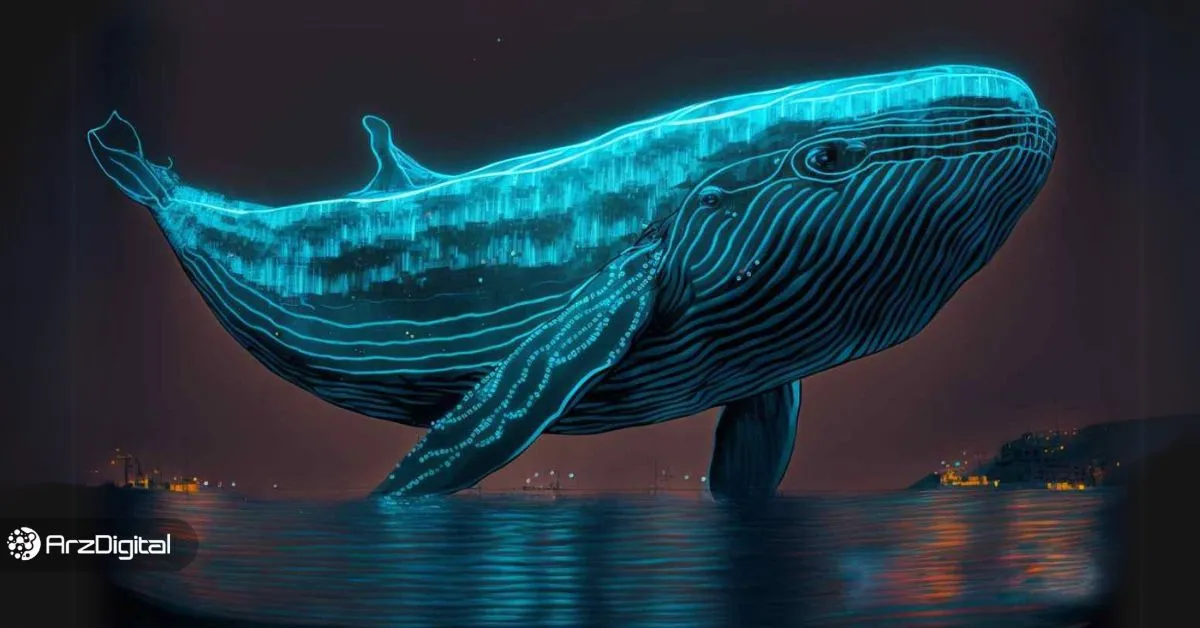 ۵ ارز دیجیتال که توجه نهنگ‌های بازار را به خود جلب کرده‌اند