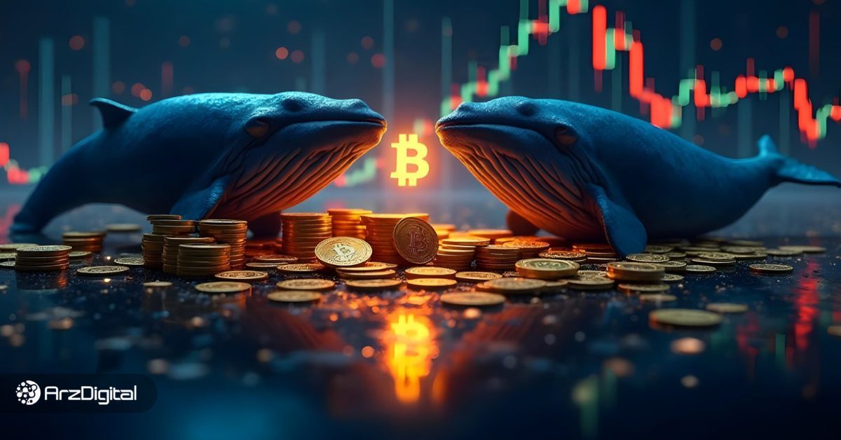 همه چشم‌ها به مقاومت ۸۶ هزار دلاری بیت کوین؛ بازی بزرگ نهنگ‌ها کی آغاز می‌شود؟