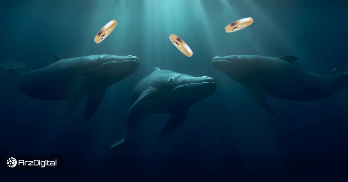 نهنگ‌ها در هفته گذشته این ۳ آلت کوین را انباشت کردند!