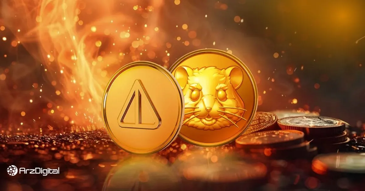 از نات کوین تا همستر کامبت : چند میلیون ایرانی در ایردراپ‌ها شرکت کردند؟