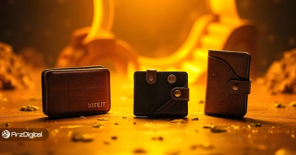 حرفه‌ای ها چه ارزهایی می‌خرند؟ این ۳ آدرس کیف پول را زیر نظر داشته باشید!