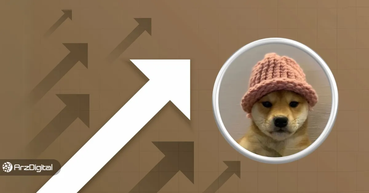 داگ ویف هت آماده جهش! قیمت توکن WIF به ۳ دلار می‌رسد؟