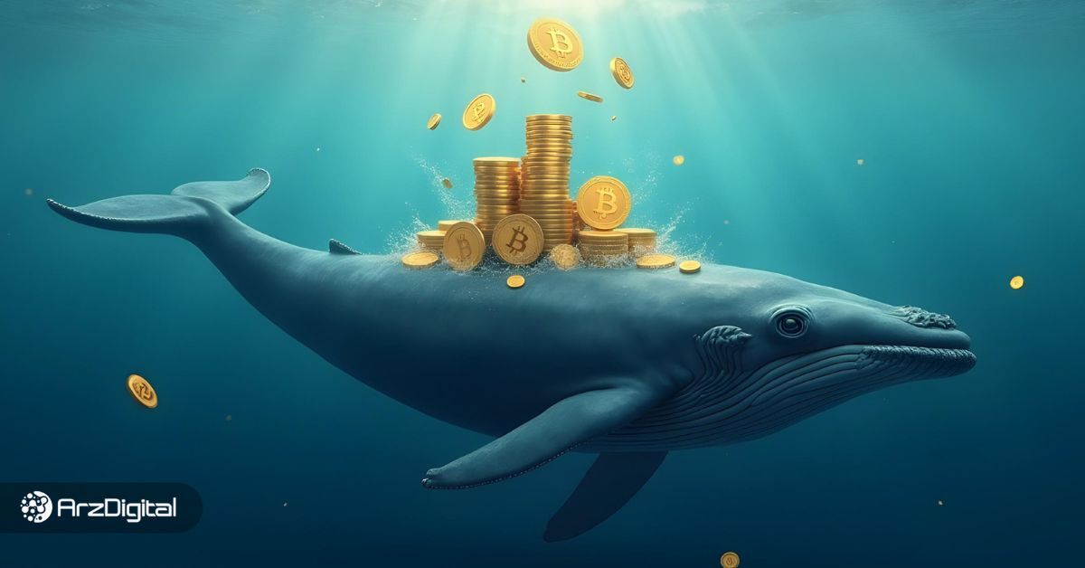 سیگنال نهنگ‌های بیت کوین به بازار؛ خرید ۳.۶ میلیارد دلار BTC در یک روز!