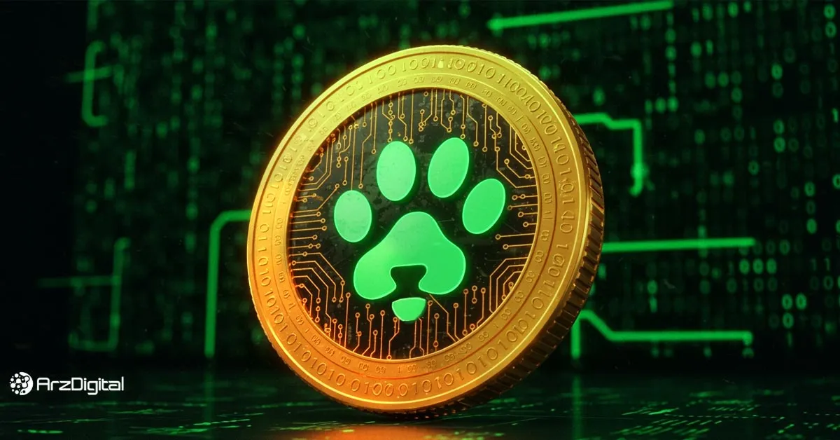 آموزش کامل برداشت پاوز ؛ چگونه ایردراپ PAWS را برداشت کنیم؟