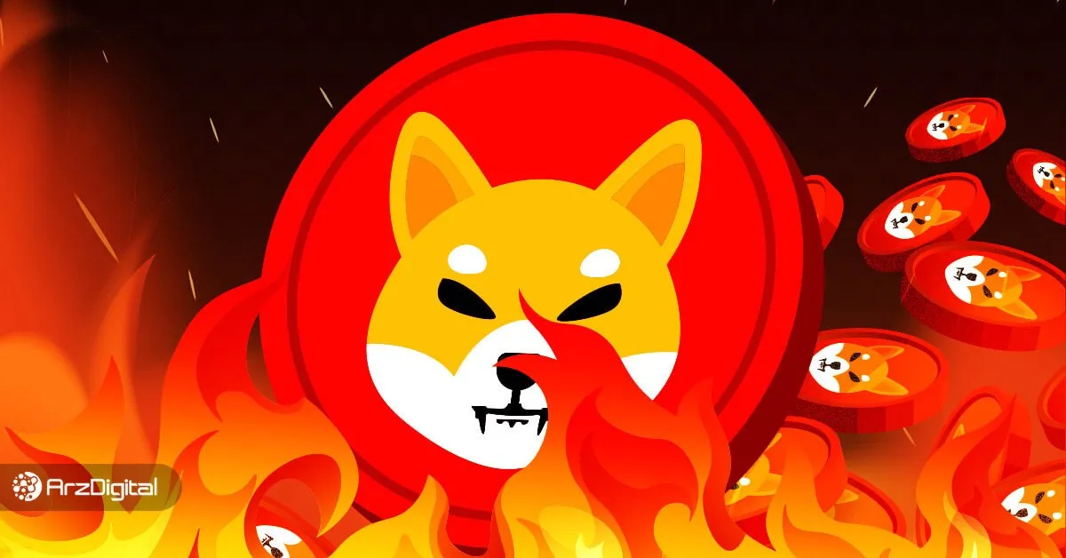 توکن سوزی شیبا چیست؟ چرا شیبا توکن می‌سوزاند؟