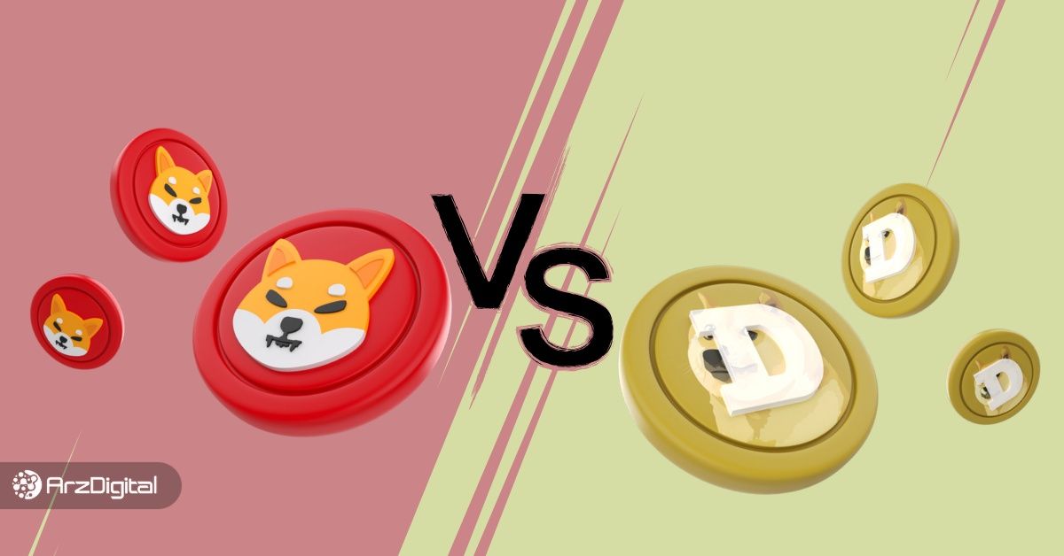مقایسه دوج کوین و شیبا اینو؛ کدام یک سود بیشتری دارد؟