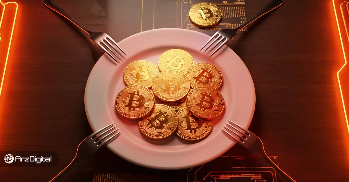 فورک بیت کوین چیست؟ بررسی مهم‌ترین فورک های بیت کوین