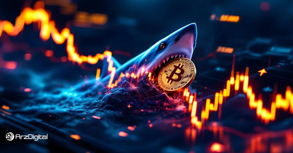 تحلیل قیمت بیت کوین: مقاومت سرنوشت‌ساز و الگوی هارمونیک کوسه نزولی